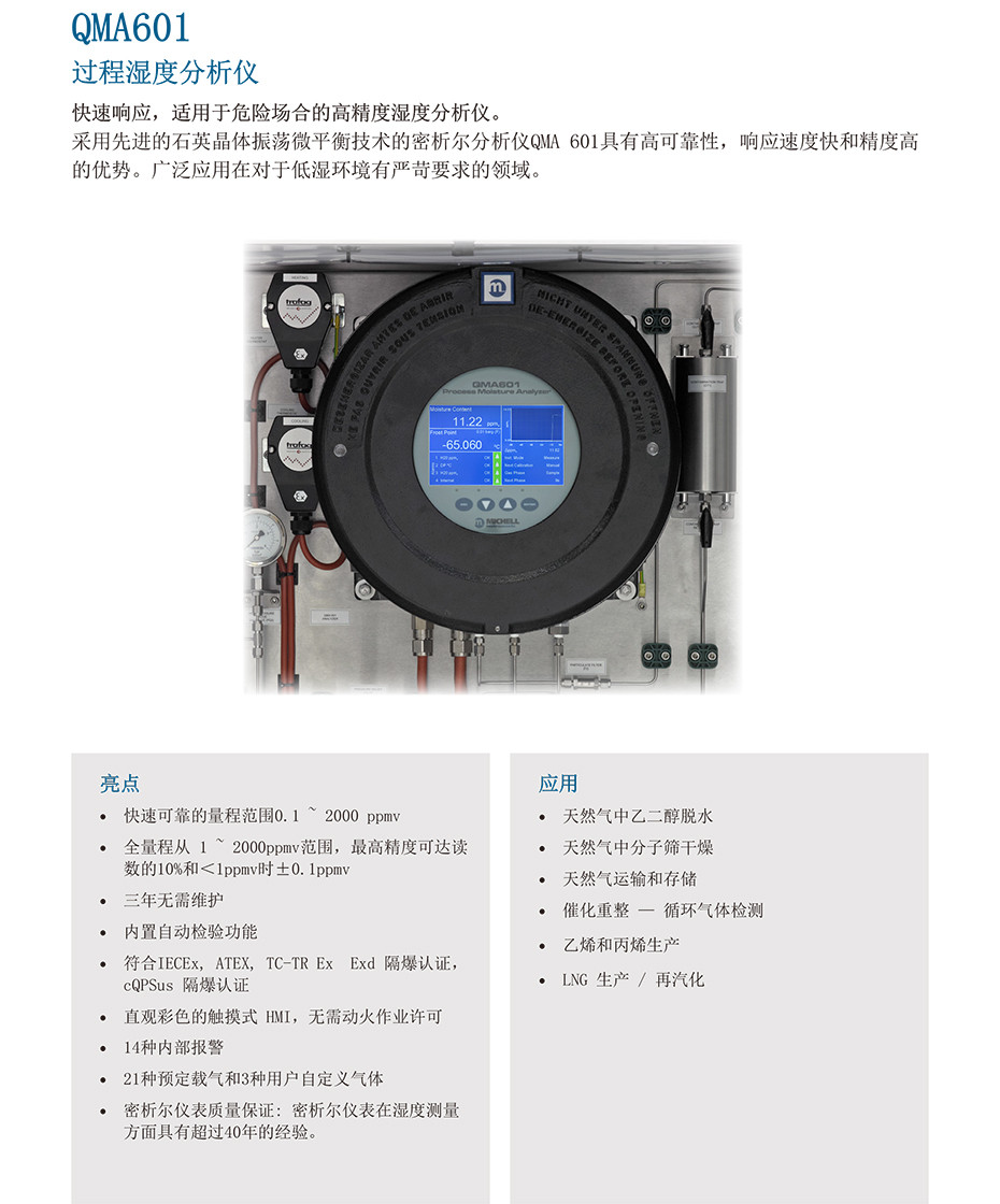 QMA601 過程濕度分析儀