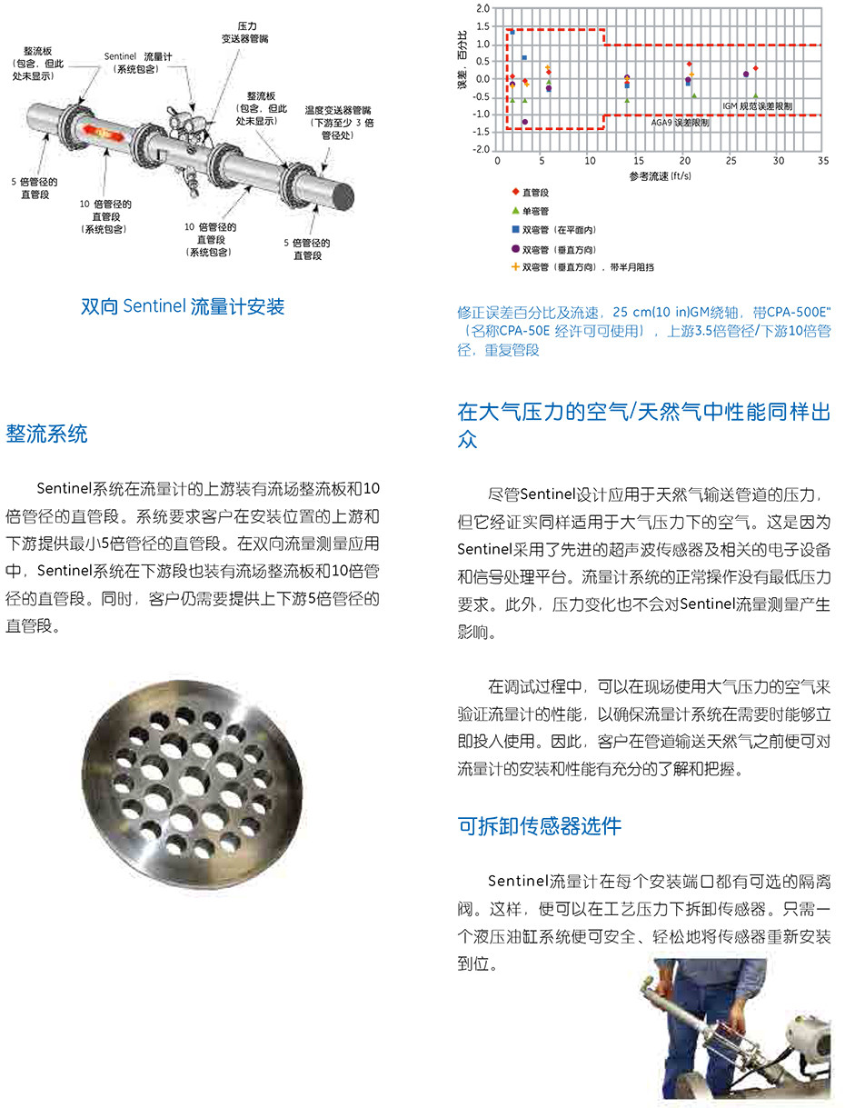 SentinelTM 計(jì)量級(jí)天然氣超聲波流量計(jì)