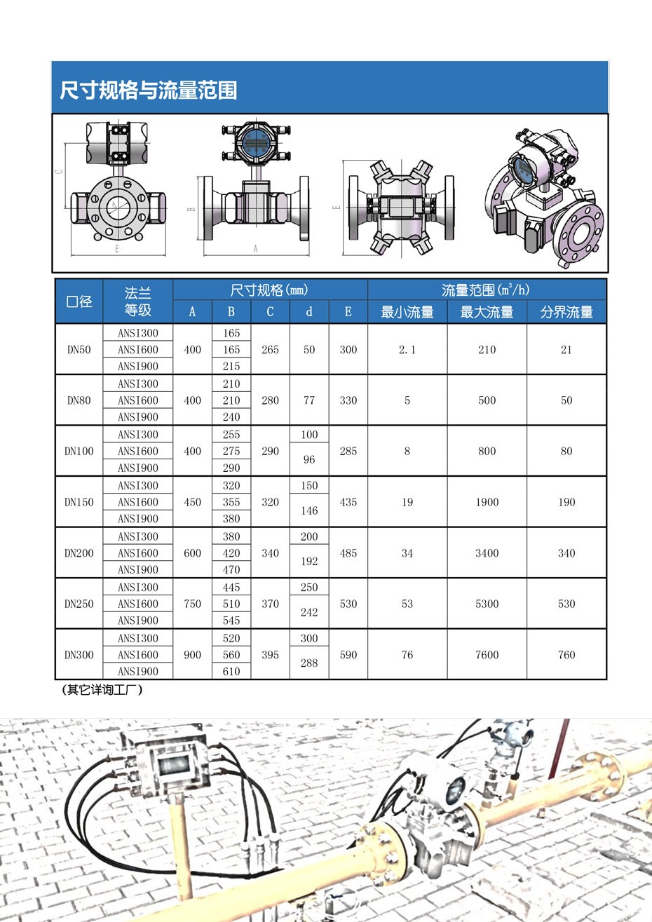TPGN80x-2.jpg